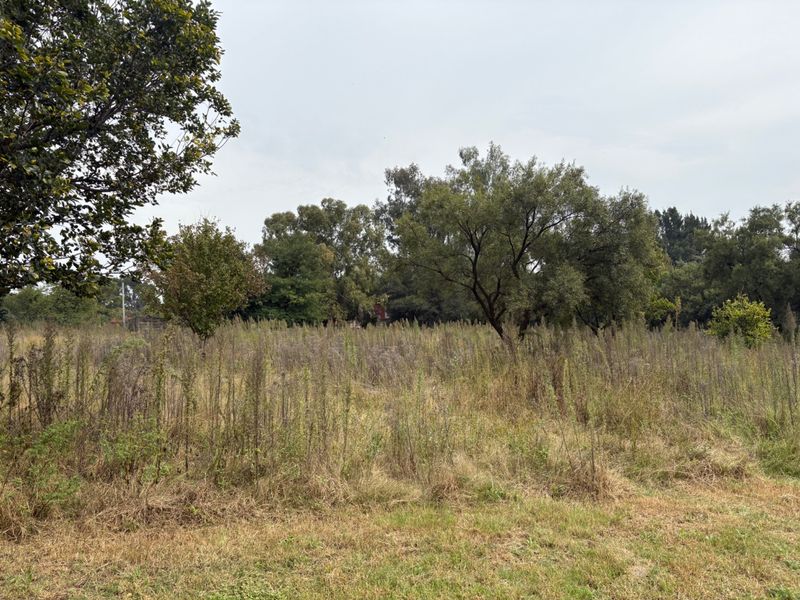 An expansive, undeveloped plot of land featuring mature trees and natural grassland, suitable for landscaping or agricultural use on this small holding.