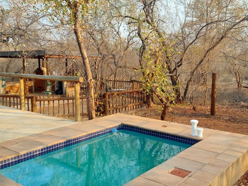 Outdoor pool area featuring a plunge pool with tiled coping, adjacent concrete patio, and a wooden deck railing set within a natural bushveld environment.