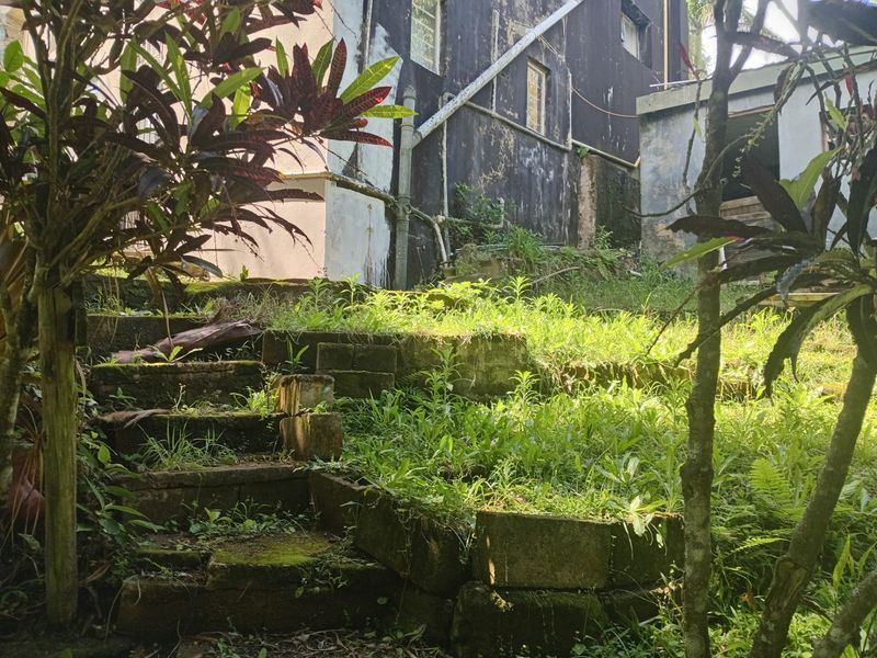 Rear exterior area featuring tiered concrete block retaining walls, stone steps, and overgrown garden space with visible wear to the building facade.