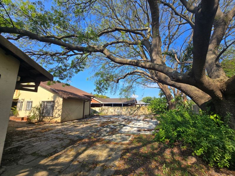 Rear exterior view of the property featuring a paved patio area, mature trees, and perimeter walling.