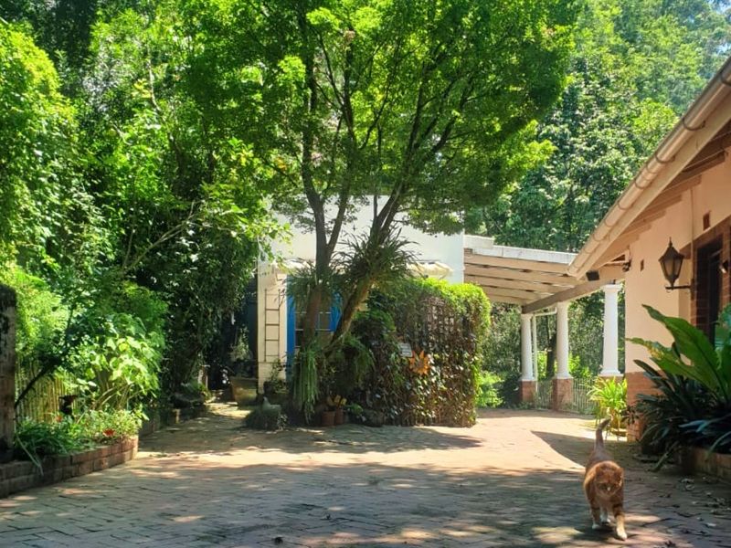 A charming, shaded brick-paved patio area featuring classic columns and lush garden surroundings, providing a peaceful outdoor space for relaxation.