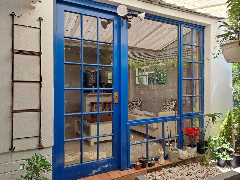 A covered patio area featuring blue-painted timber-framed glass doors and a translucent corrugated roof, providing a transition to the interior living space.