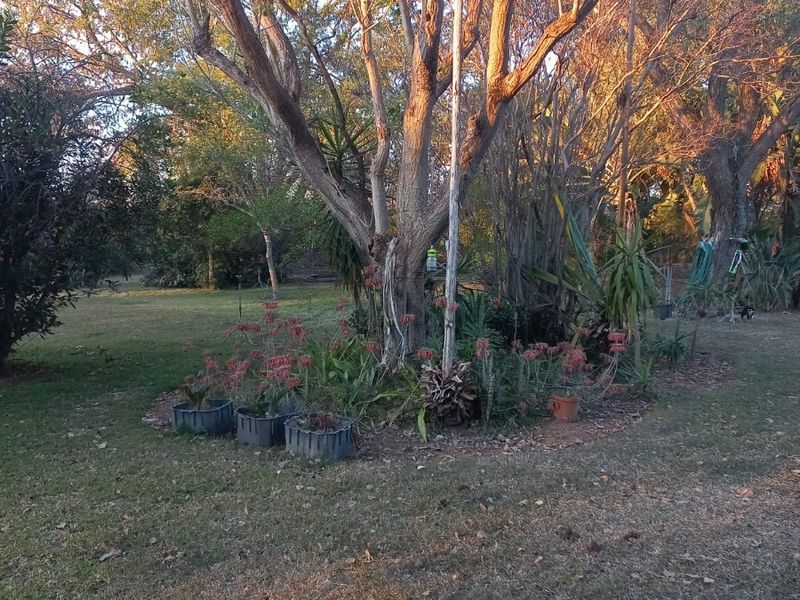 Farm For Sale in Kromdraai, Hammanskraal - Photo 7