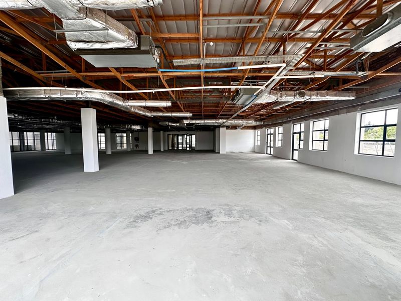 Spacious open-plan office area featuring exposed timber roof trusses, industrial HVAC ducting, concrete flooring, and large windows providing ample natural light.