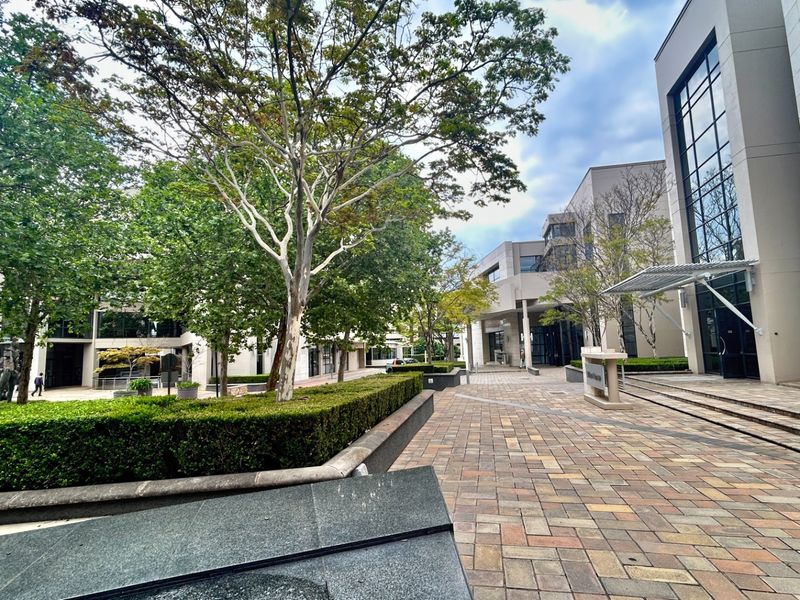 A well-maintained office courtyard featuring paved walkways, mature landscaping, and modern architectural elements including glass facades and stone cladding.