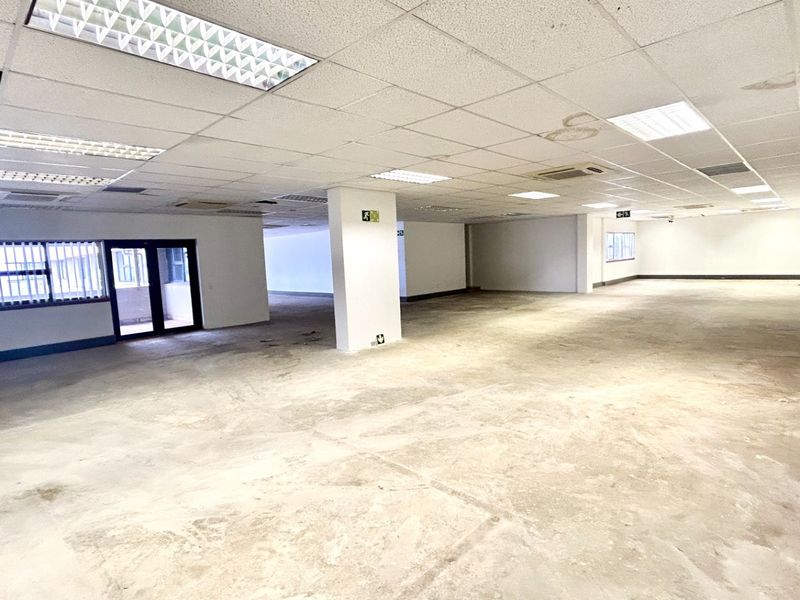 A large, open-plan office space featuring a suspended ceiling with recessed lighting, central air conditioning, and unfinished concrete flooring, ready for custom fit-out.