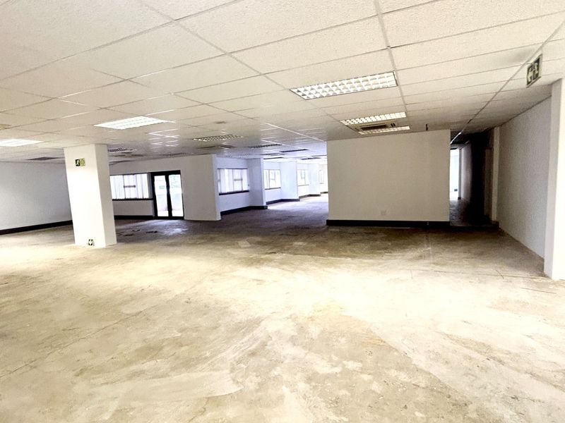Spacious open-plan office area featuring a suspended ceiling, recessed lighting, and exposed concrete flooring, offering a blank canvas for custom workspace configuration.
