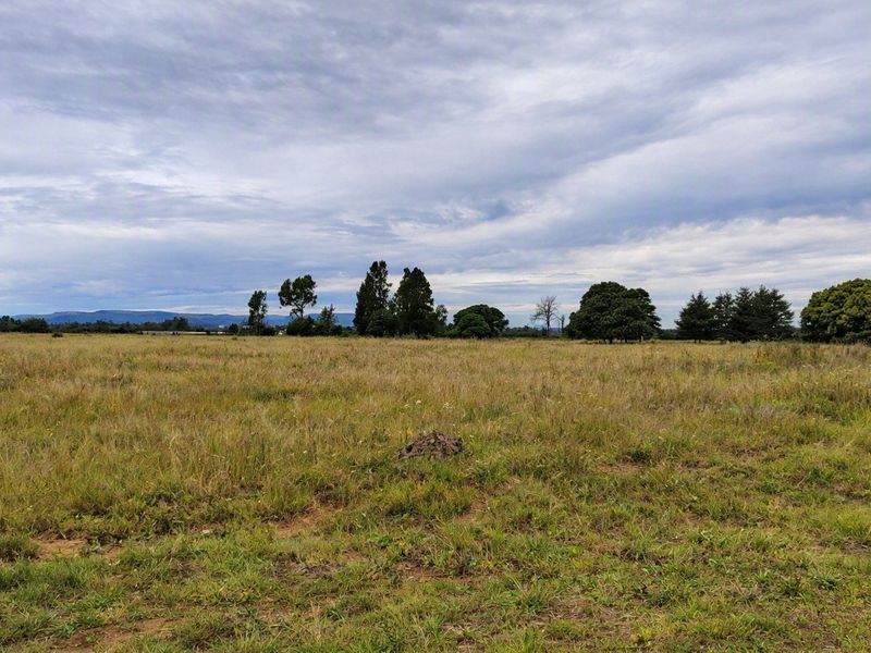 A wide-angle view of a vacant residential plot featuring open grassland and mature trees under a cloudy sky.