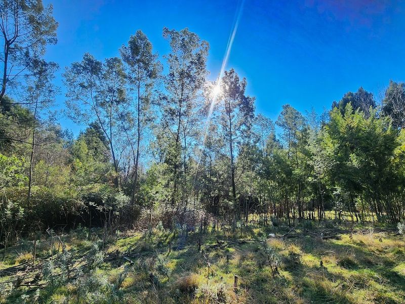 VACANT LAND FOR SALE - HOGSBACK - Photo 8