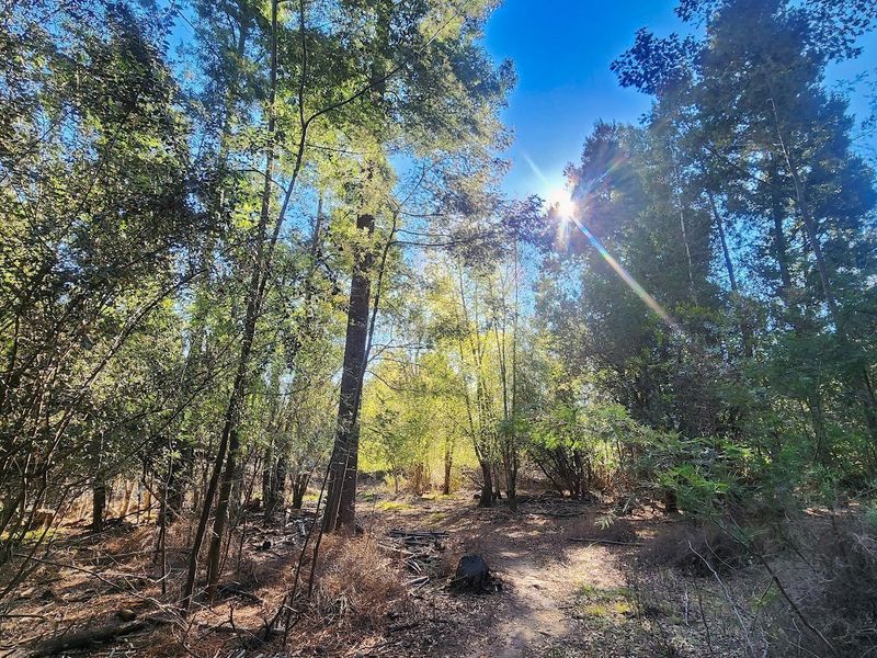 VACANT LAND FOR SALE - HOGSBACK - Photo 7
