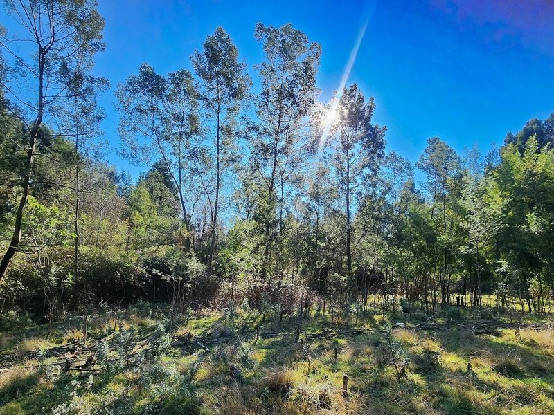 VACANT LAND FOR SALE - HOGSBACK - Photo 5