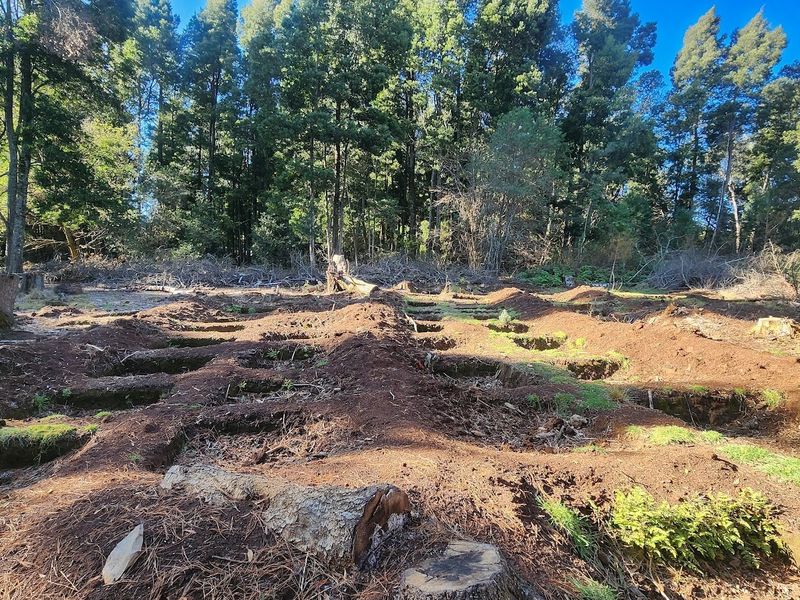 VACANT LAND FOR SALE - HOGSBACK - Photo 3