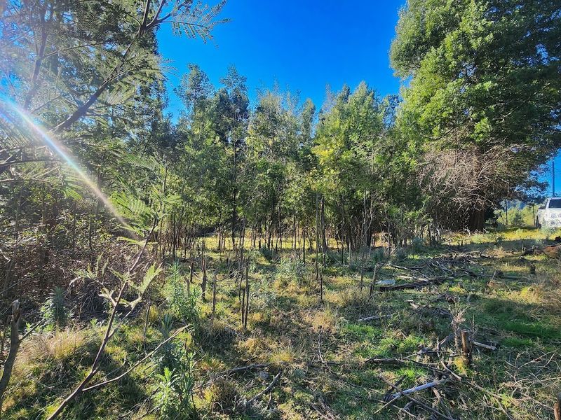 VACANT LAND FOR SALE - HOGSBACK - Photo 10