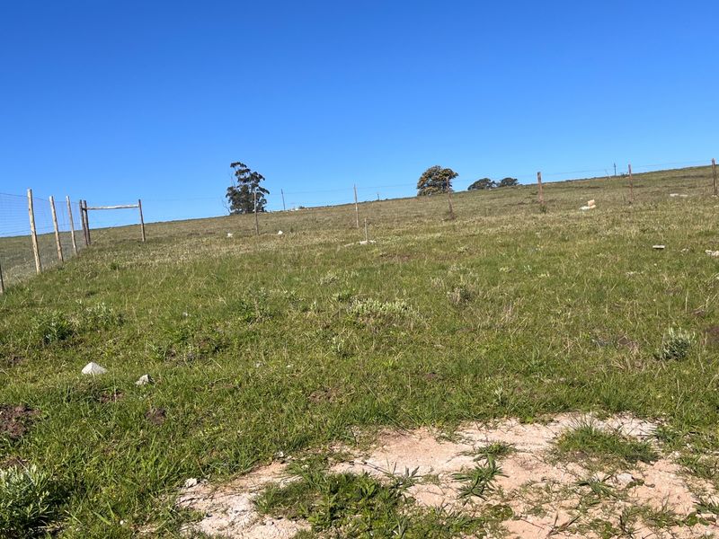 Vacant Land For Sale in Butterworth - Photo 9