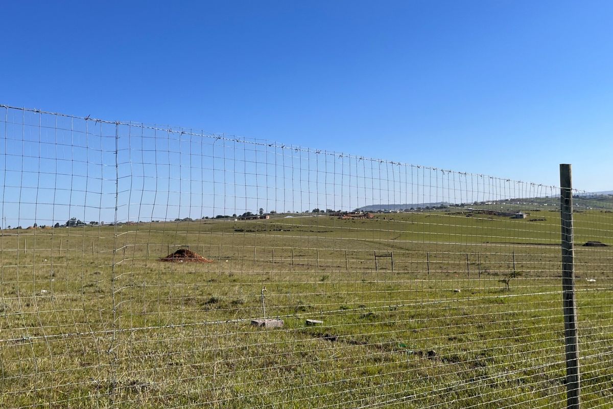 Expansive view of the open small holding landscape, featuring wire mesh perimeter fencing and an external water point.