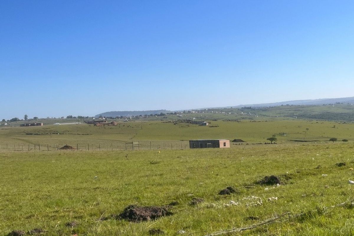 Expansive view of the open small holding landscape featuring rolling green fields and perimeter wire fencing under a clear blue sky.