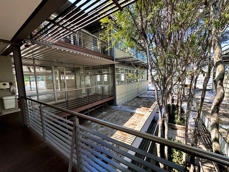 An elevated view of a multi-level office building exterior featuring modern glass facades, stainless steel railings, and a shaded terrace area with mature trees.