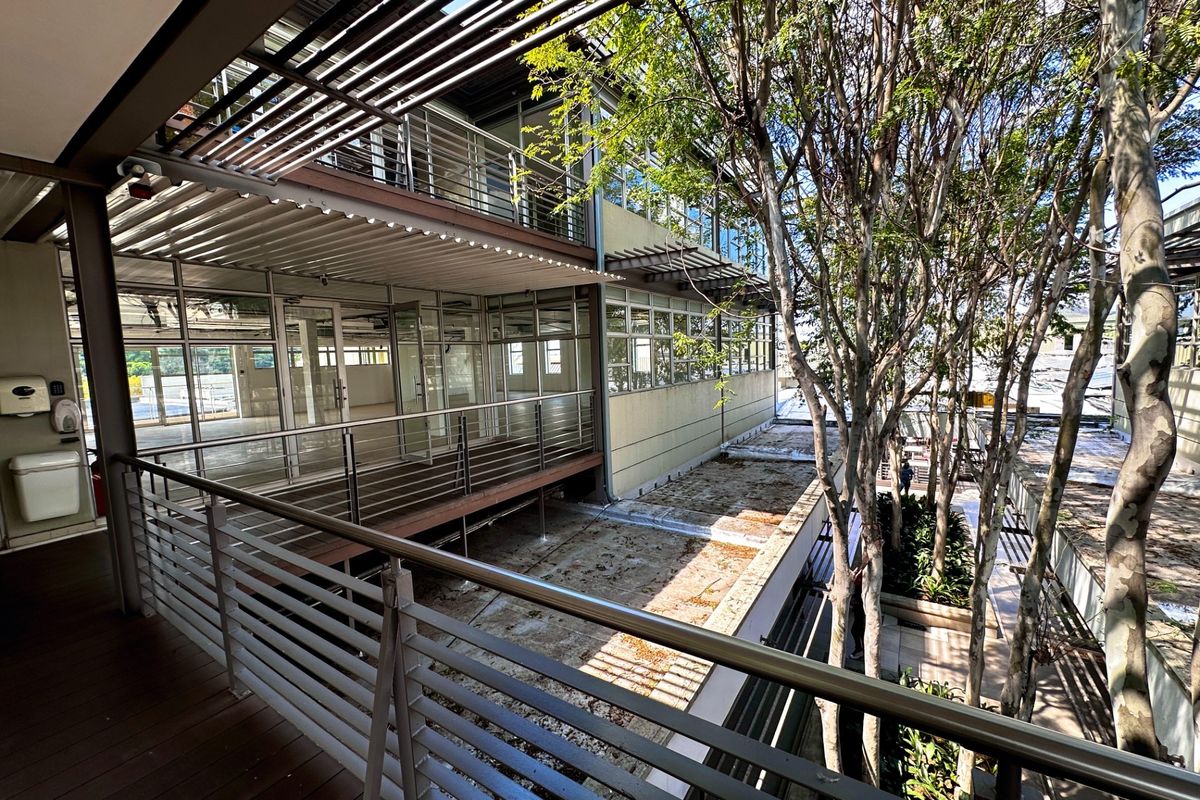 An elevated view of a multi-level office building exterior featuring modern glass facades, stainless steel railings, and a shaded terrace area with mature trees.