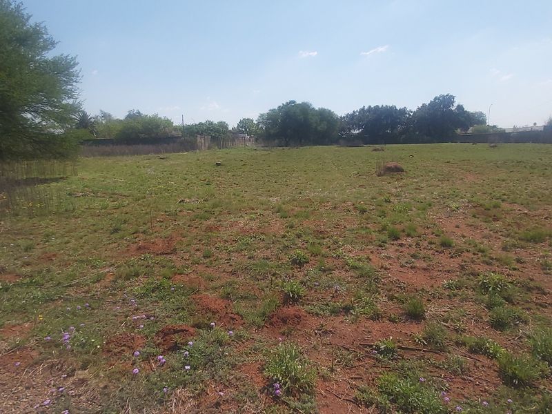 A vacant residential plot featuring open grass, mature trees, and a perimeter wall, offering a blank canvas for development.