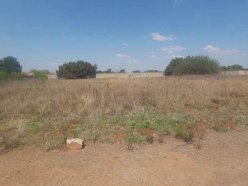 A vacant residential plot of land featuring natural vegetation and a perimeter wall, offering a blank canvas for future development.