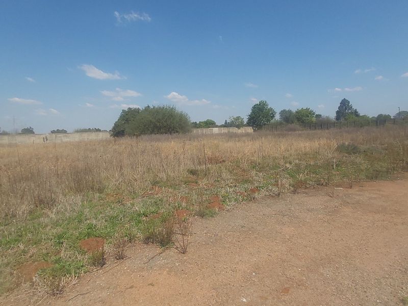 A vacant residential plot featuring dry grass, perimeter walling, and an unpaved access road, offering a blank canvas for development.