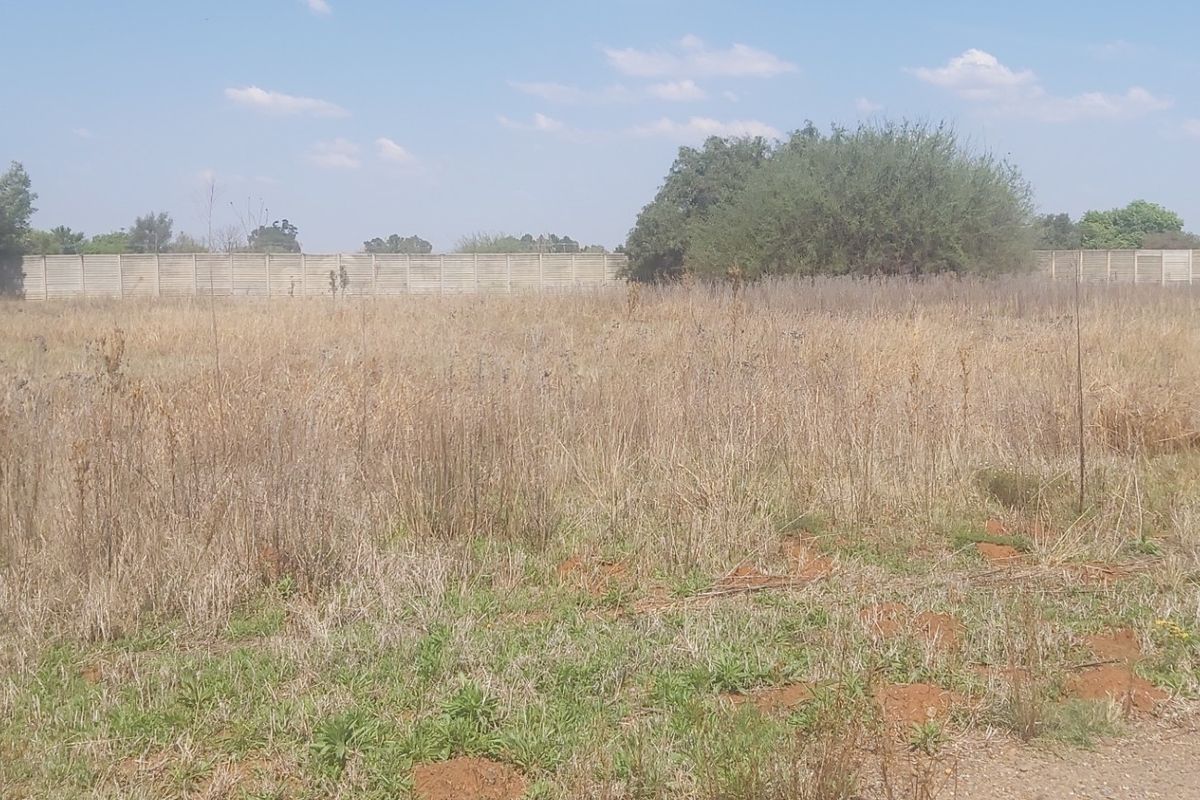 A vacant residential plot featuring dry grass and a precast concrete boundary wall at the rear.