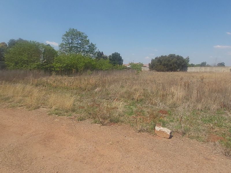 A vacant residential plot featuring natural vegetation, perimeter walling, and access via an unpaved road.