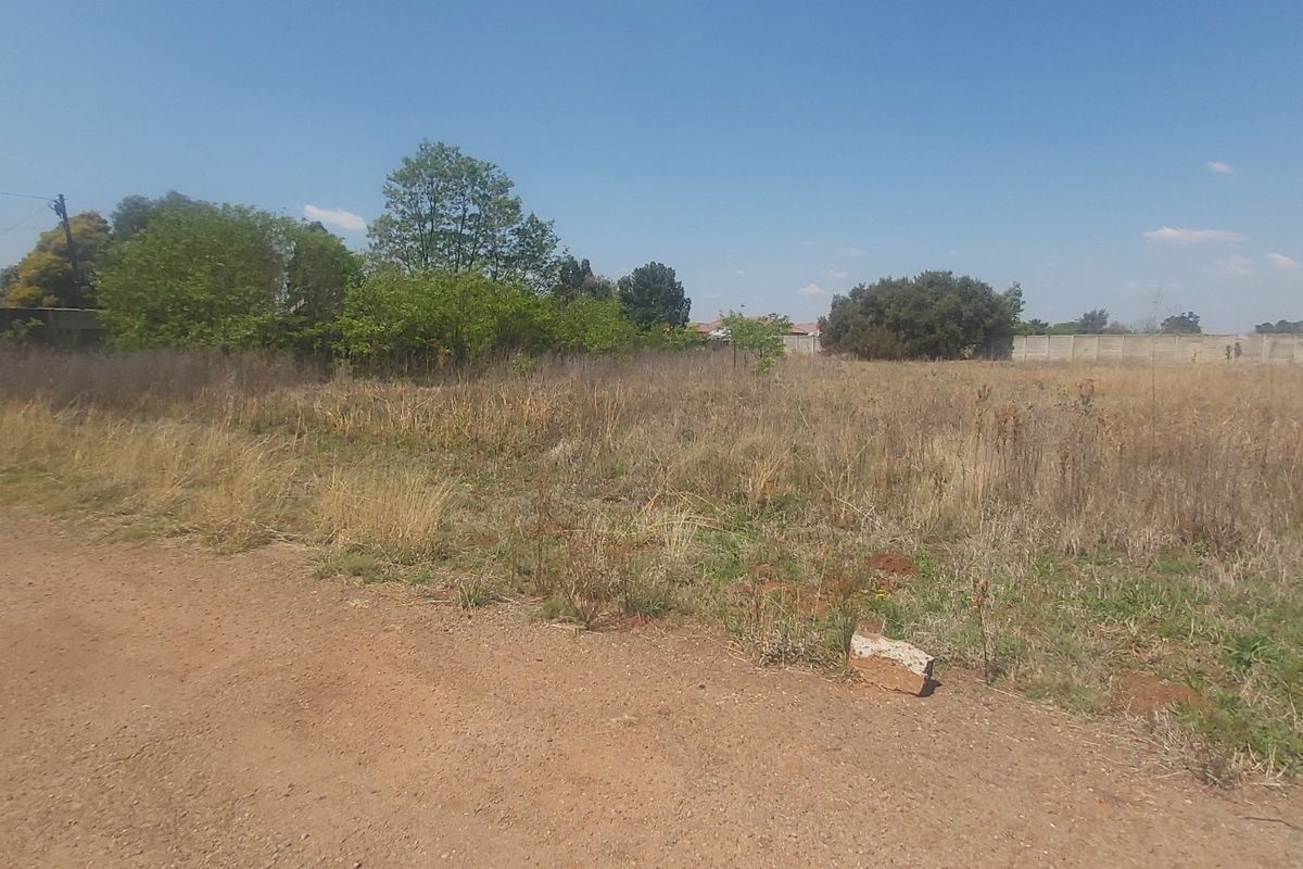 A vacant residential plot featuring natural vegetation, perimeter walling, and access via an unpaved road.
