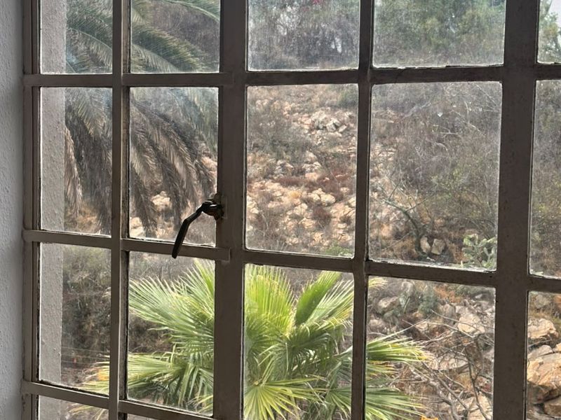 A view through a vintage steel-framed window looking out onto a natural rocky landscape and garden area.