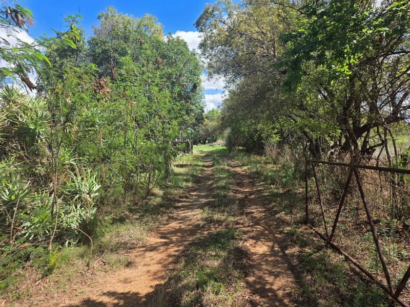 A dirt access road leading into the property, featuring mature trees, natural landscaping, and a metal farm gate entrance.