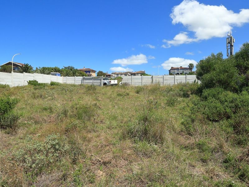 A vacant residential plot featuring natural vegetation and enclosed by a precast concrete boundary wall with a metal access gate.