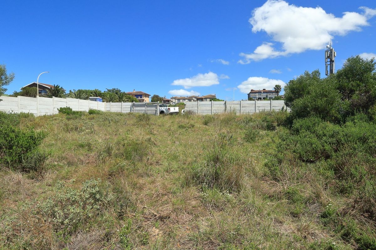 A vacant residential plot featuring natural vegetation and enclosed by a precast concrete boundary wall with a metal access gate.