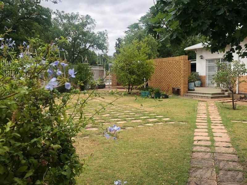 A spacious backyard garden featuring a paved walkway, established trees, and a brick boundary wall with security fencing.