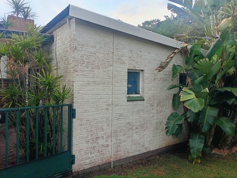 A view of the rear exterior brick structure featuring a corrugated metal roof and a small security window, surrounded by established garden foliage.