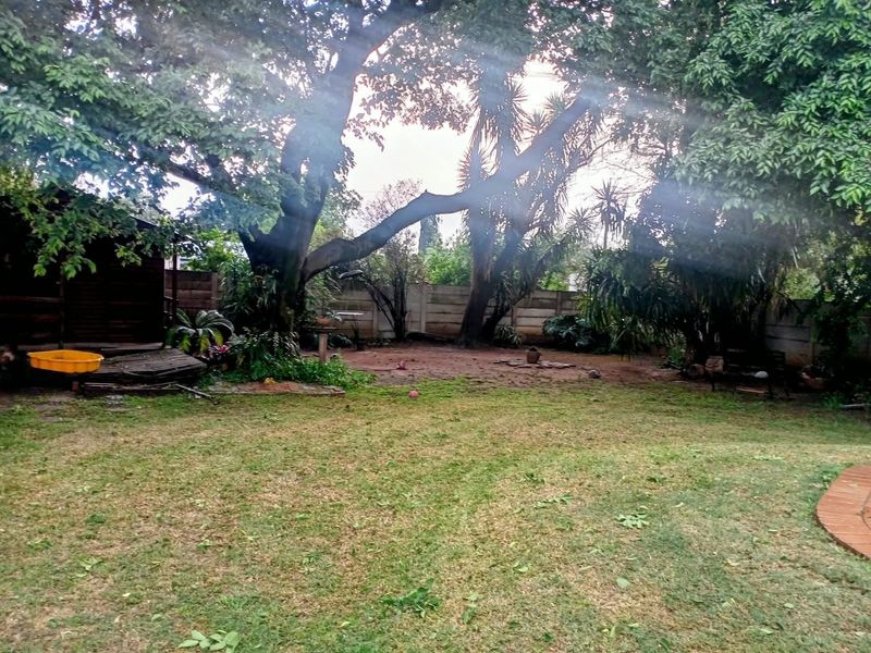 A spacious backyard garden featuring mature trees, a precast concrete boundary wall, and brick paved edging, offering potential for landscaping improvements.