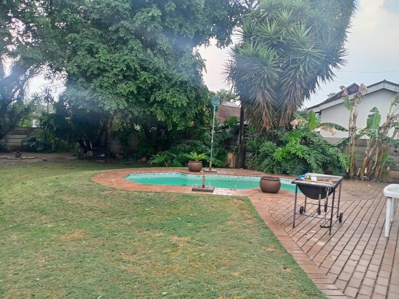 A backyard area featuring a swimming pool with brick paving surround, established trees, and a boundary wall.