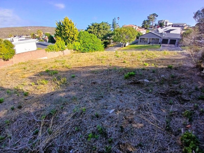 A vacant residential plot featuring natural vegetation and a brick boundary wall, situated in an established neighborhood.