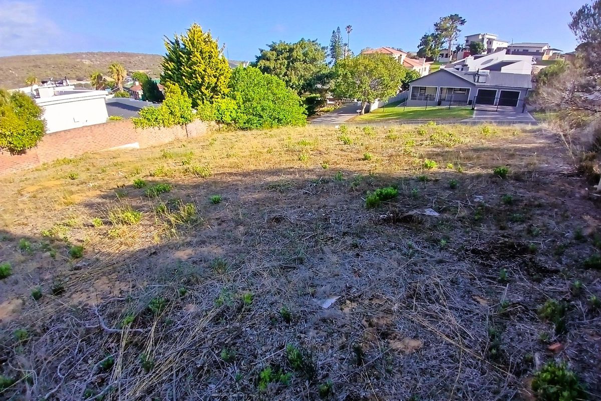 A vacant residential plot featuring natural vegetation and a brick boundary wall, situated in an established neighborhood.
