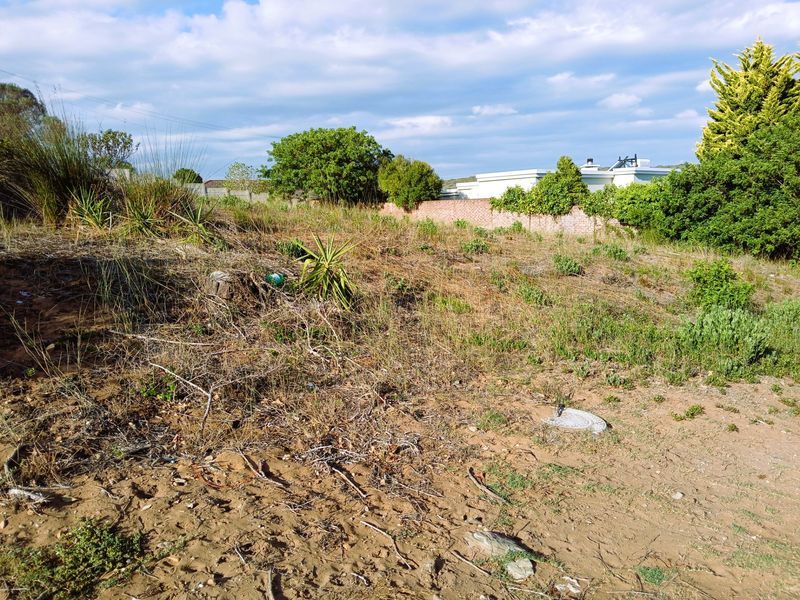 A vacant residential plot featuring natural vegetation, a brick boundary wall, and utility access, offering a blank canvas for future development.