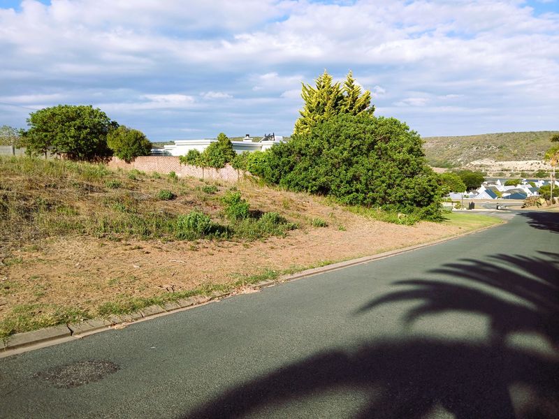 Street view of a vacant residential plot featuring a gentle slope, established boundary wall, and surrounding neighborhood vegetation.