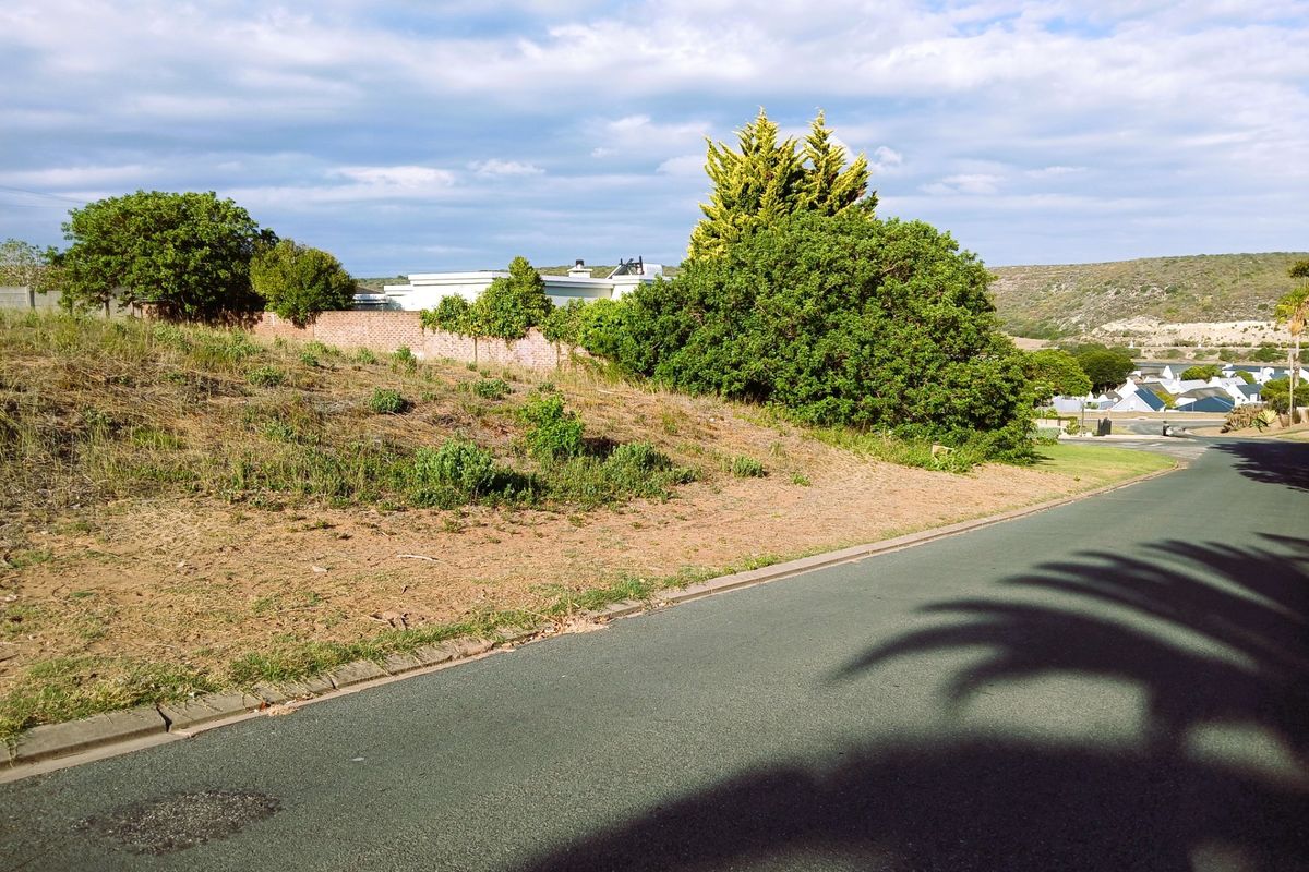 Street view of a vacant residential plot featuring a gentle slope, established boundary wall, and surrounding neighborhood vegetation.