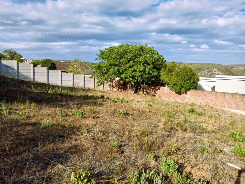 A vacant residential plot featuring a sloped landscape, enclosed by a combination of precast concrete and brick boundary walls with established trees.