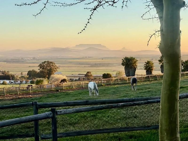 A scenic landscape view overlooking open fields and distant mountains, featuring rustic timber and wire fencing in the foreground.