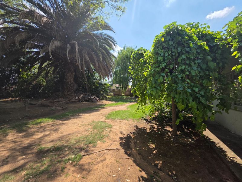 A spacious garden area featuring mature trees and established landscaping, offering potential for further development or garden design.