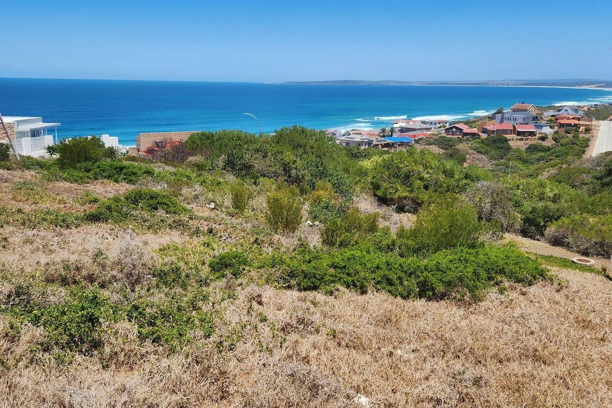 A scenic elevated view overlooking the coastal landscape, surrounding residential properties, and the ocean horizon.