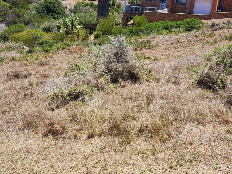 A view of the sloped, undeveloped residential land with natural vegetation, showing the rear elevation of the adjacent property.