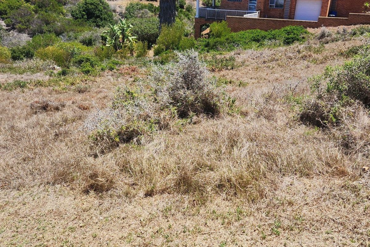 A view of the sloped, undeveloped residential land with natural vegetation, showing the rear elevation of the adjacent property.