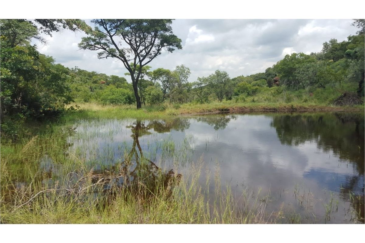 A scenic view of a natural farm pond surrounded by indigenous trees and lush green landscape.