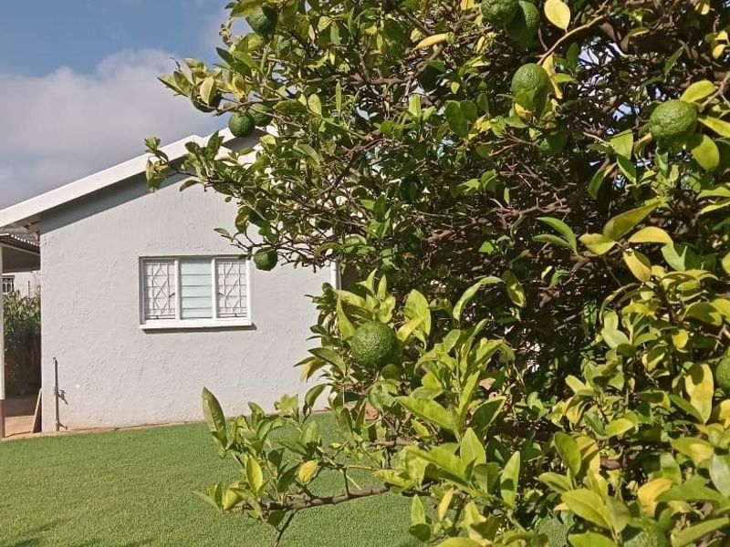 A view of the rear exterior of the property featuring a well-maintained lawn and a mature citrus tree.