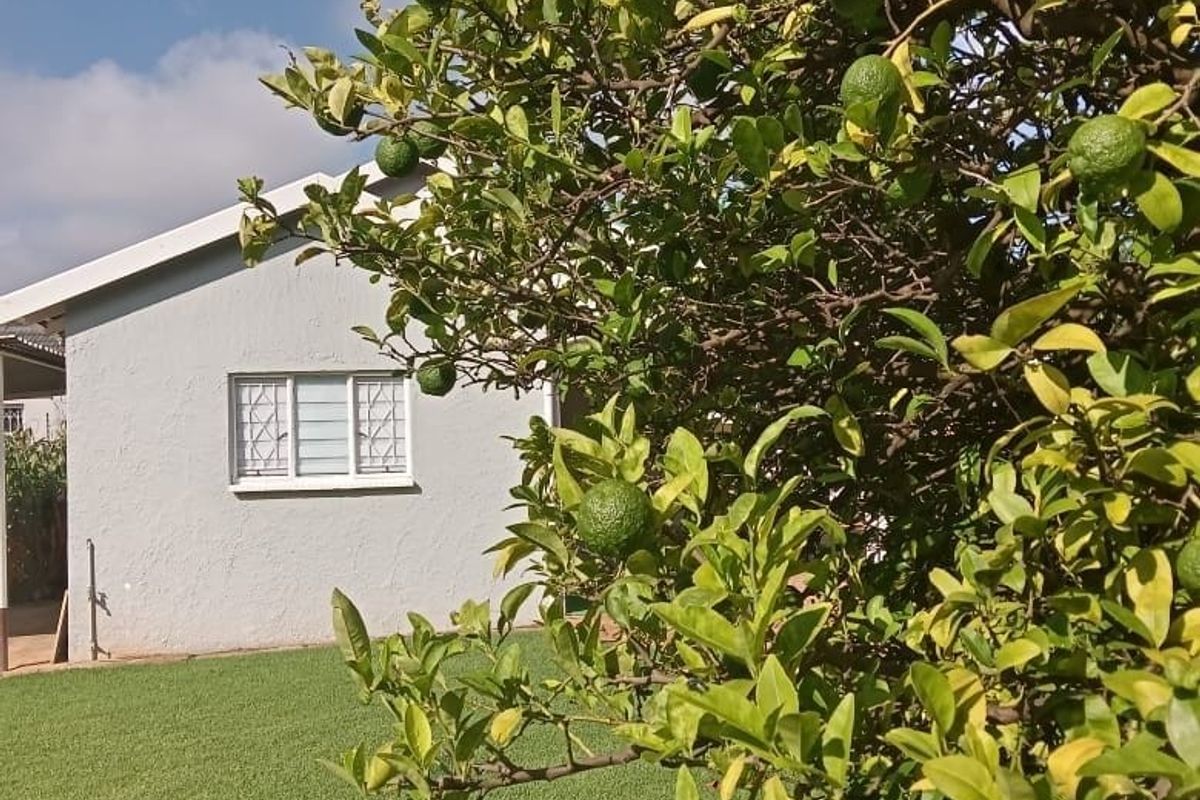 A view of the rear exterior of the property featuring a well-maintained lawn and a mature citrus tree.